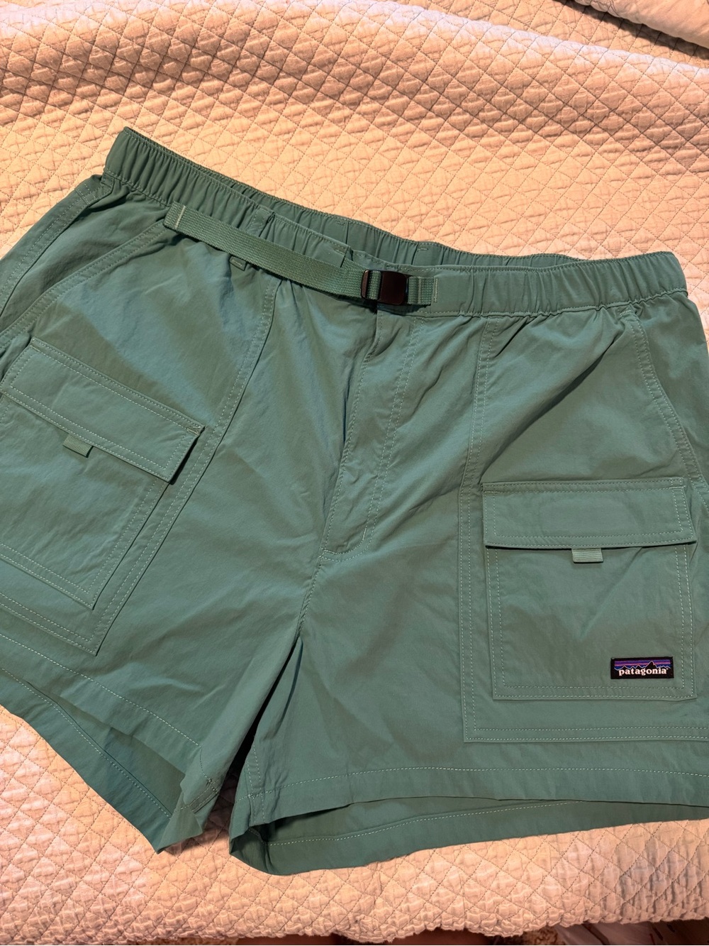 Patagonia Women’s Everyday 4” Shorts in Heartleaf Green XL